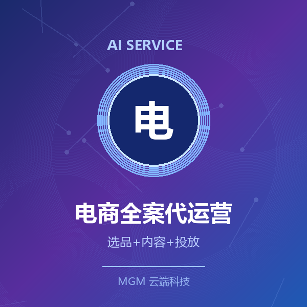 AI电商全案代运营·月